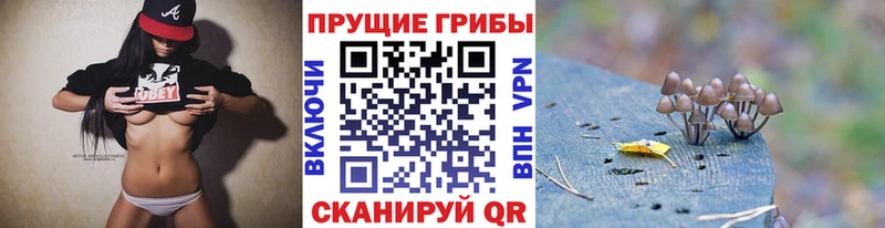 Галлюциногенные грибы прущие грибы  где можно купить наркотик  Нестеровская 