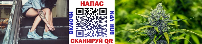 Конопля White Widow  Нестеровская 